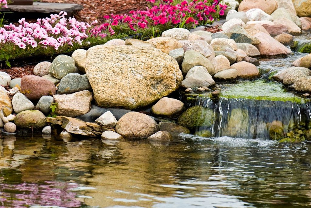 cascade piscine naturelle