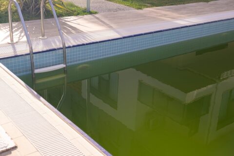 eau piscine verte